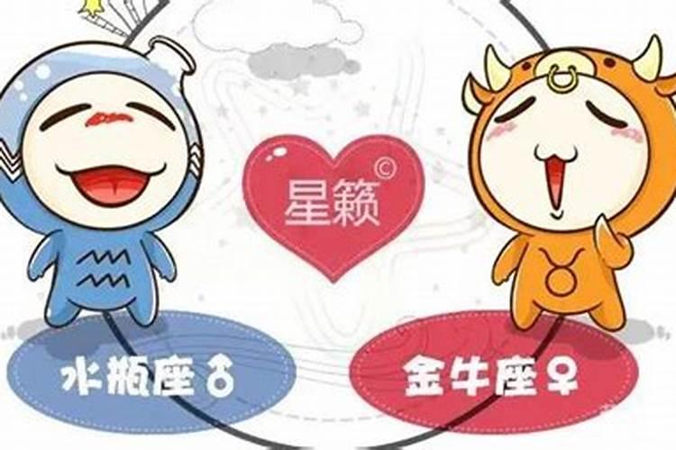 金牛和金牛座匹配程度是多少
