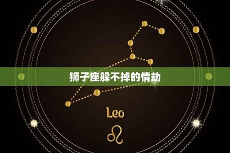 狮子的情劫是什么星座