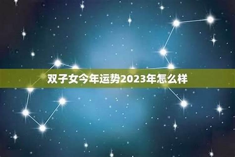 属龙的双子座女人2024