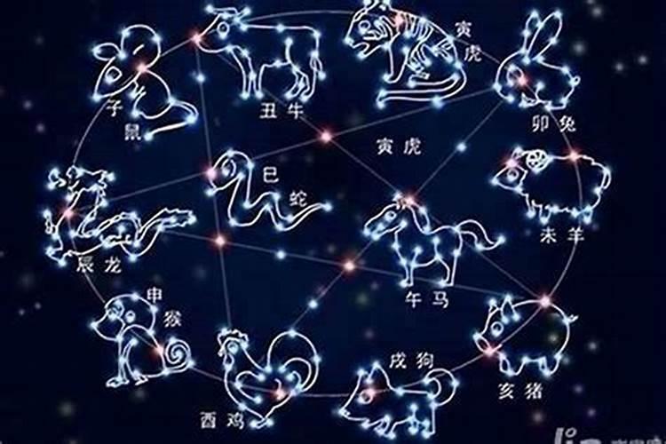 最自闭的星座
