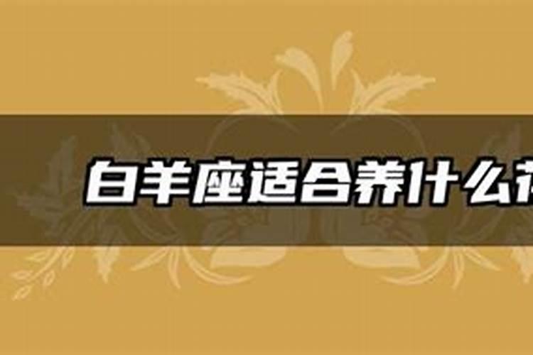 白羊座适合什么花？