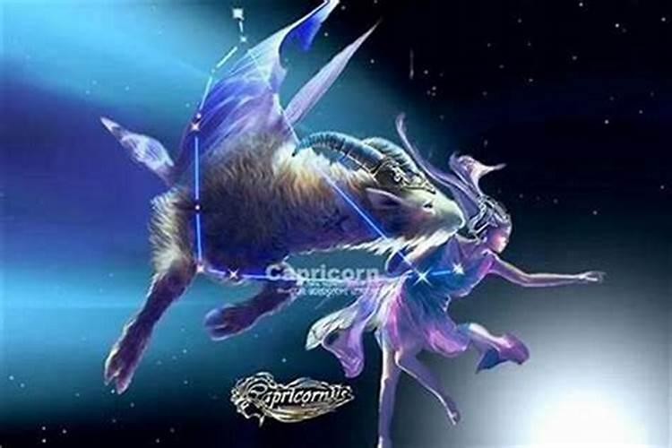 哪些星座很高冷