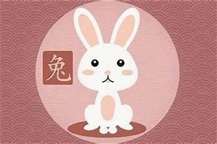 属兔人内心脆弱吗