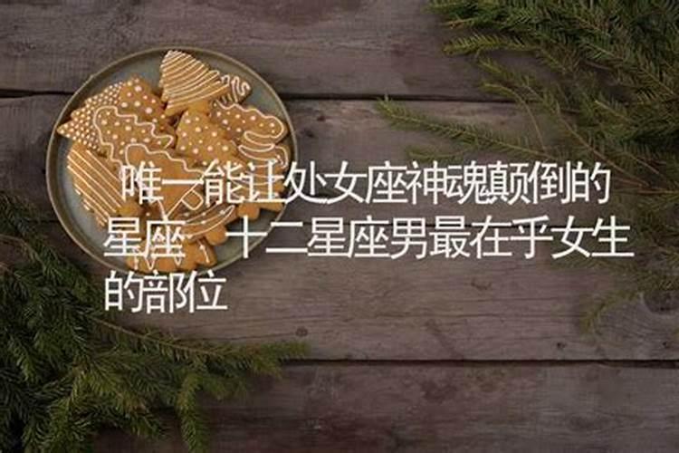 唯一能懂处女座的星座
