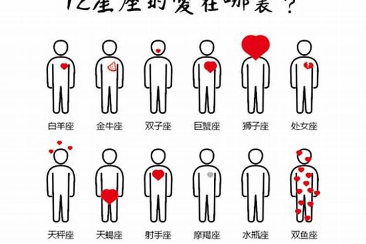 12星座的爱情在哪里