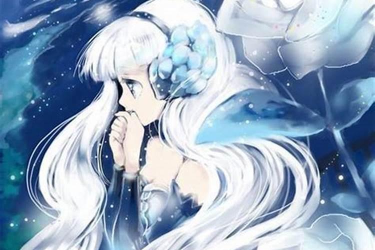 十二星座的妖精