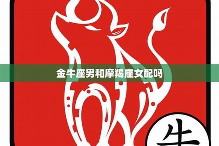 摩羯女跟金牛男相处过程很难