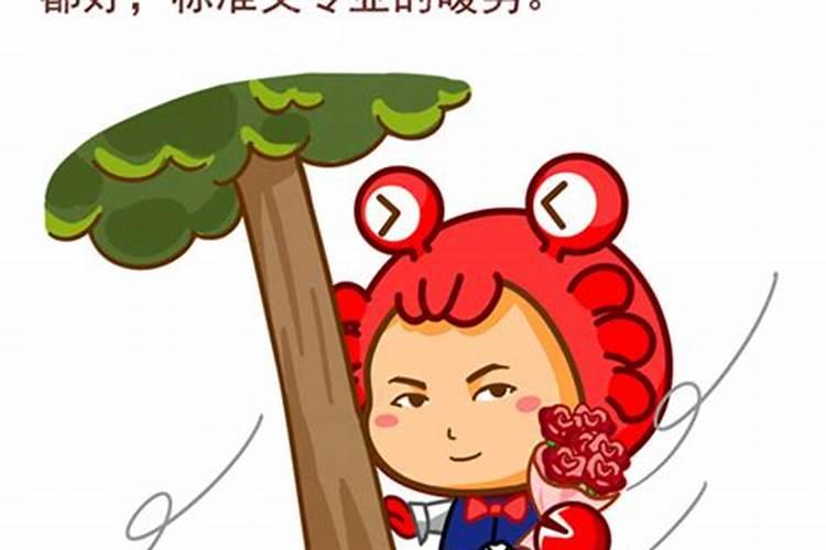 哪一个星座是暖男