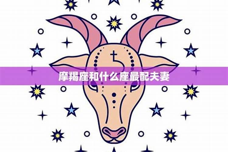 摩羯座最搭配的星座是什么