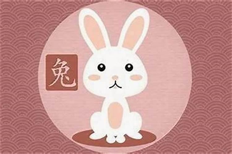 生肖兔和什么相冲？