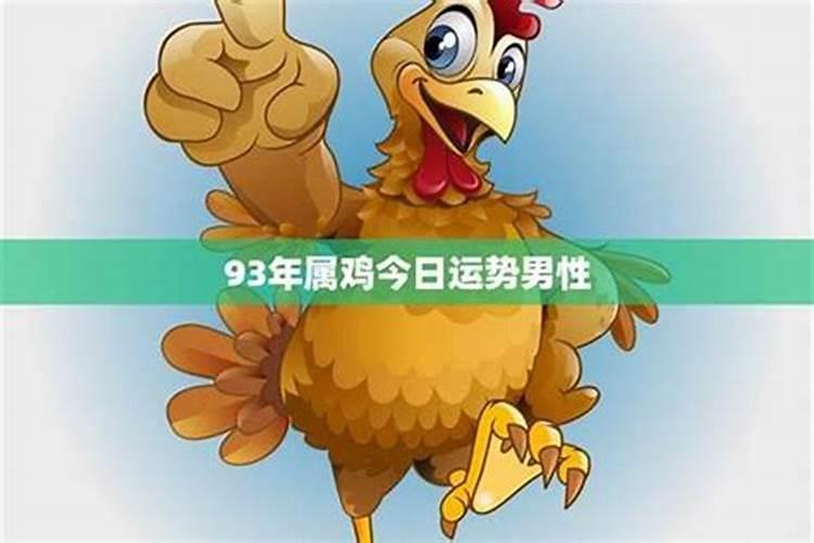 男鸡在2024年的运势如何？