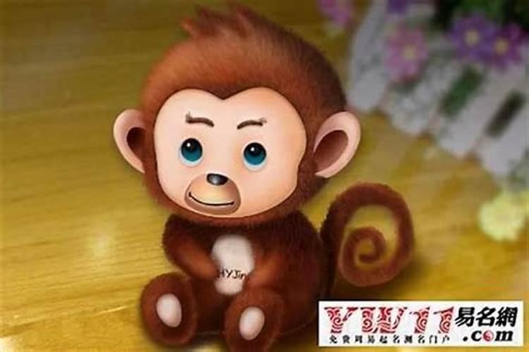 猴和什么生肖能合婚？