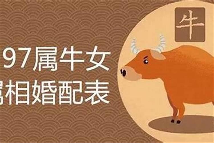 女属牛婚配和什么属相合适？