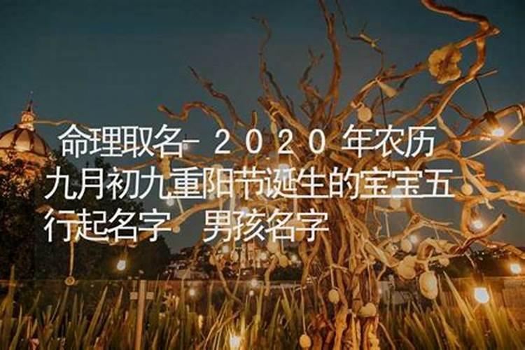 姓名胡乔农历九月初九好吗？