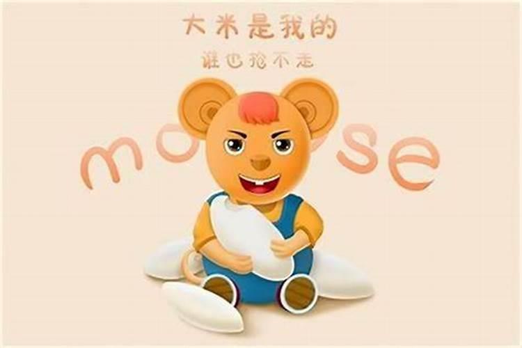 1996年属鼠的人一生的运势