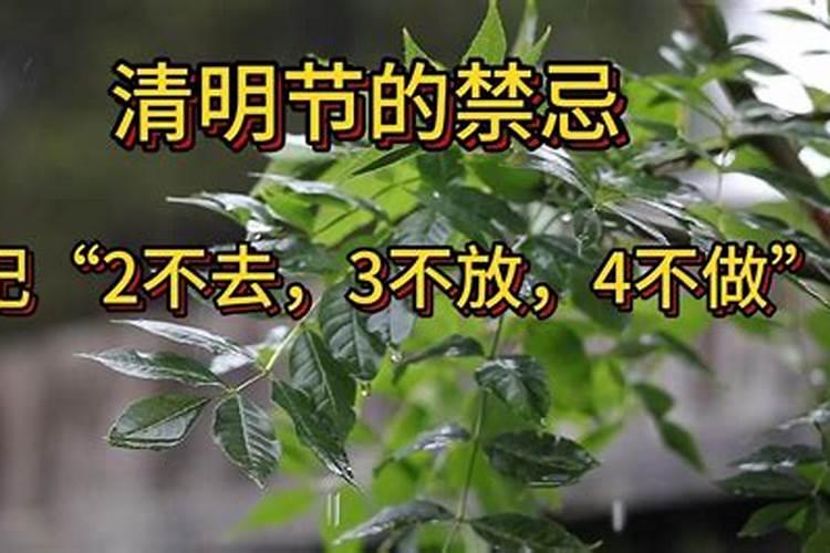 漳州清明节禁忌