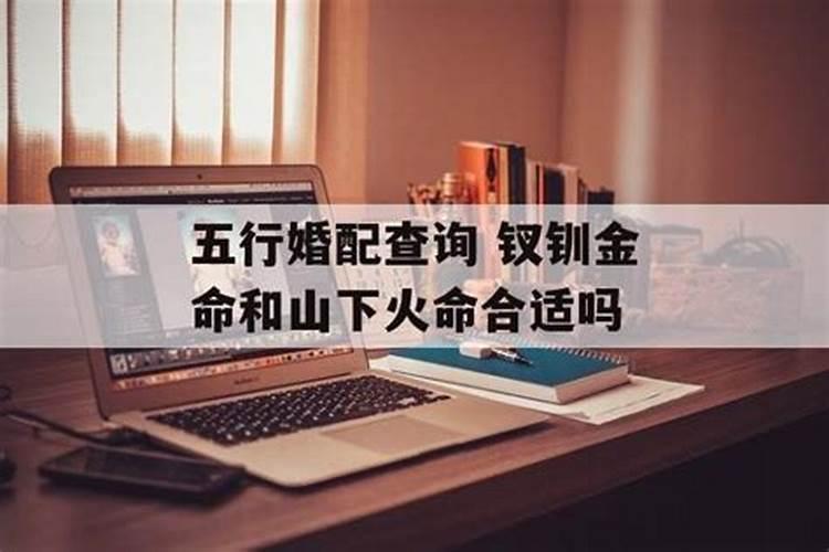 钗钏金和大泽土命能合婚吗？