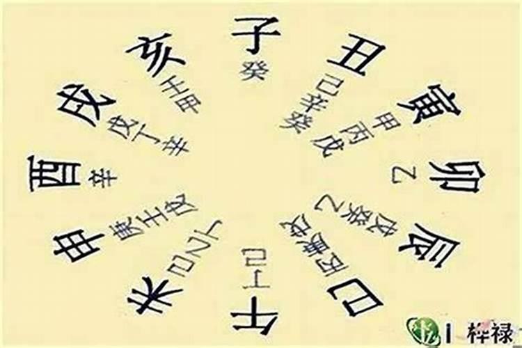八字排盘中食神什么意思？