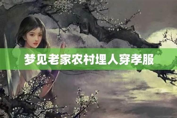 梦到回到了老家乡村