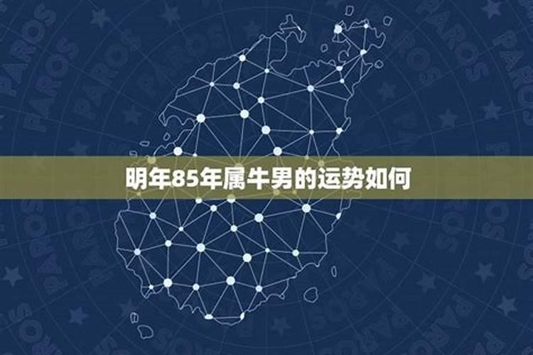85年今年的婚姻运势如何？