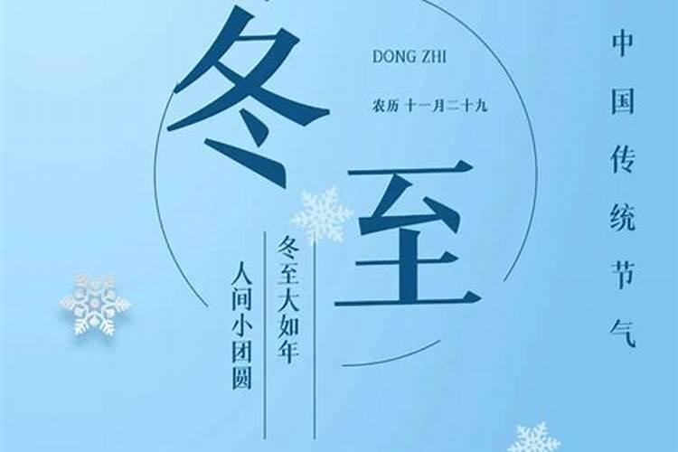 冬至出生的宠物