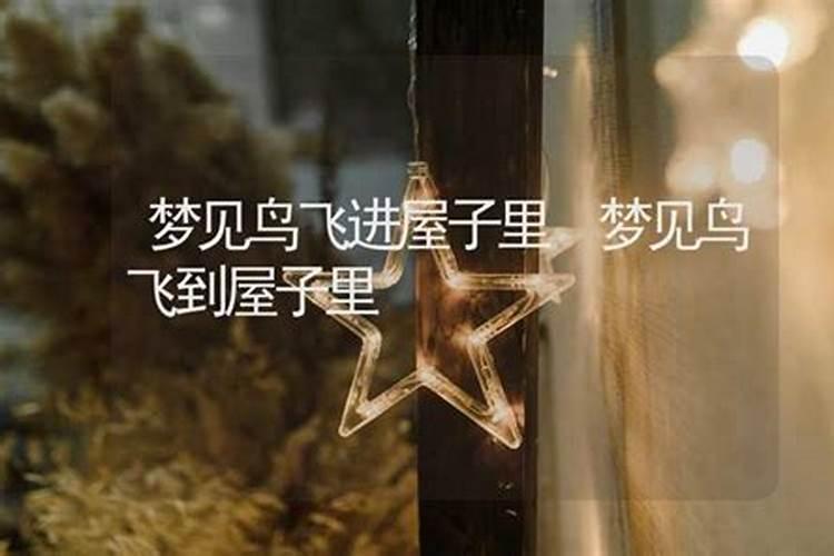 梦见房子有好多门鸟？