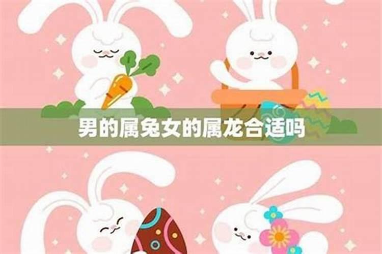 肖鸡女配男兔合婚吗？
