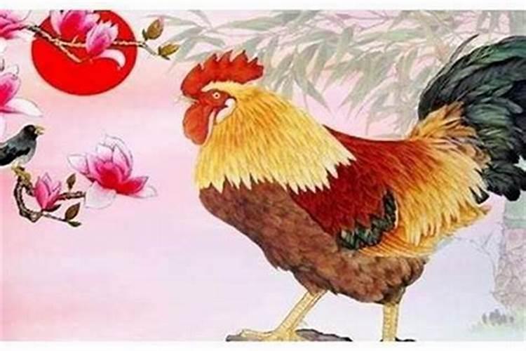 属鸡今年财运运势