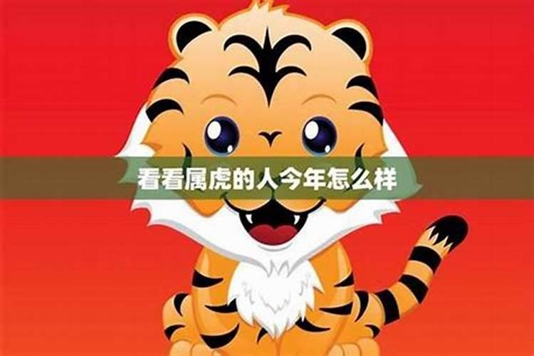 17年虎的运势如何？
