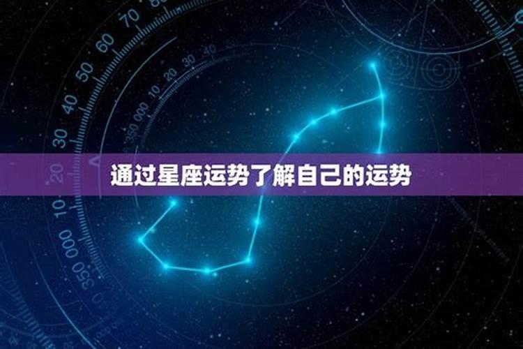 1995年11月初7今年运势如何？