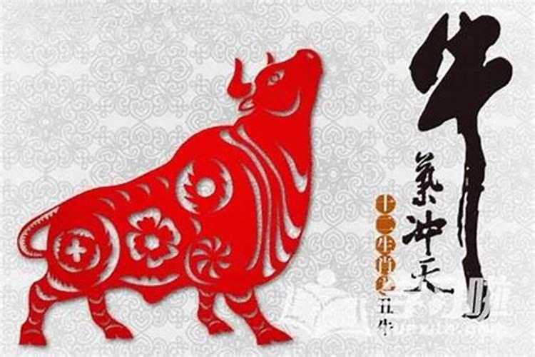 中元节出生的牛属相女孩