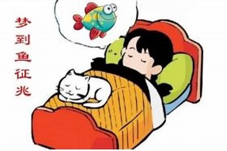 梦见马桶里有鱼