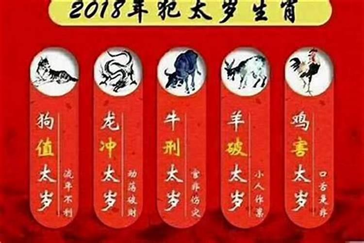 属鸡逢什么年犯太岁？