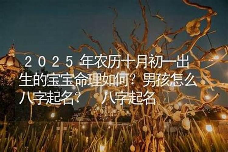 农历十月初一出生取名