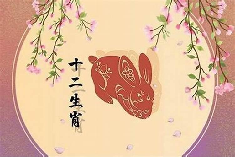属兔哪一年本命年？
