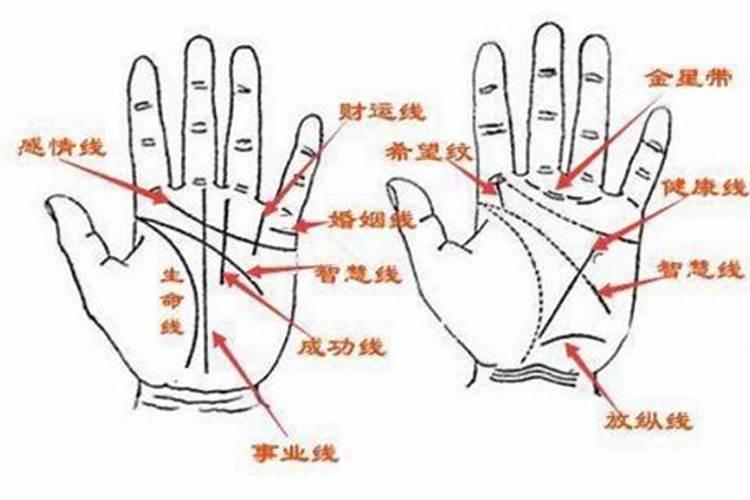 女生看手相算婚姻是哪个线？