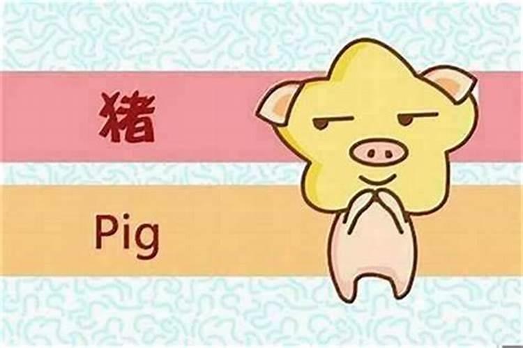95年肖猪运程如何？