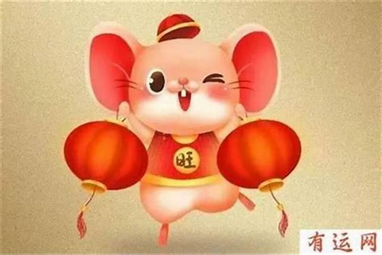 6月份属鼠运程如何？
