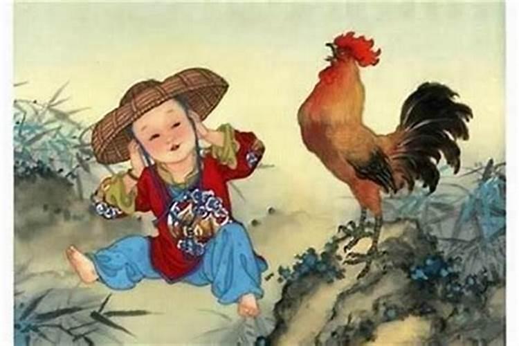 属鸡佩戴什么可以增加运势？