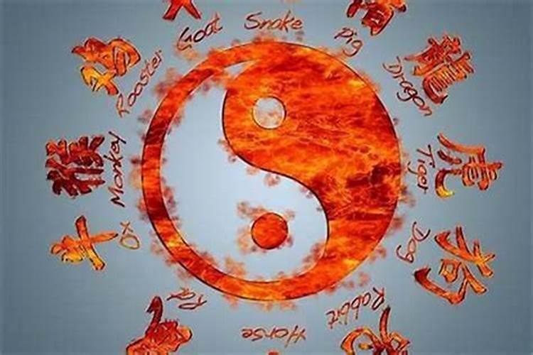 属蛇的8月运势怎么样？
