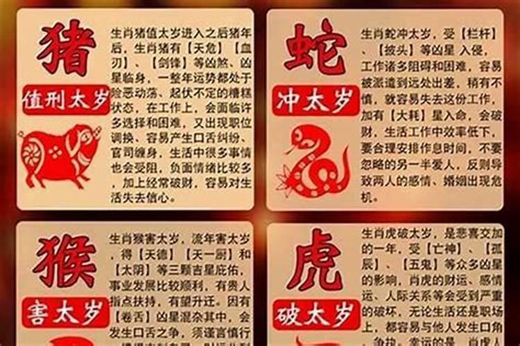 2025年属兔犯太岁怎么破解呀？