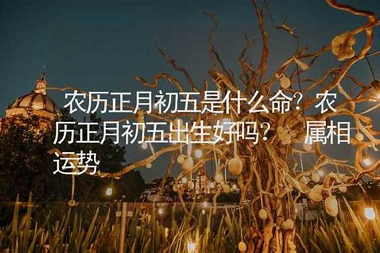 正月初五可以算命吗？