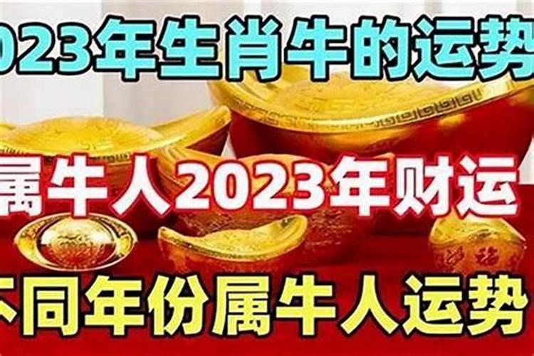 本命年的财运怎么样才算好？