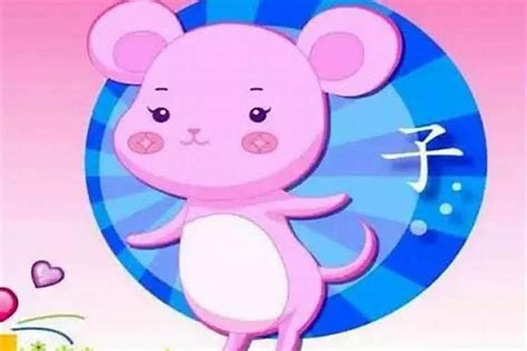 生肖鼠与狗八字合吗？