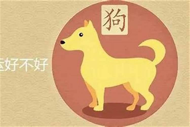 94年狗宝宝出生运程
