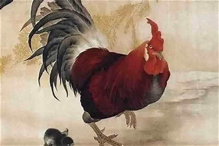 属鸡怎么老犯太岁？