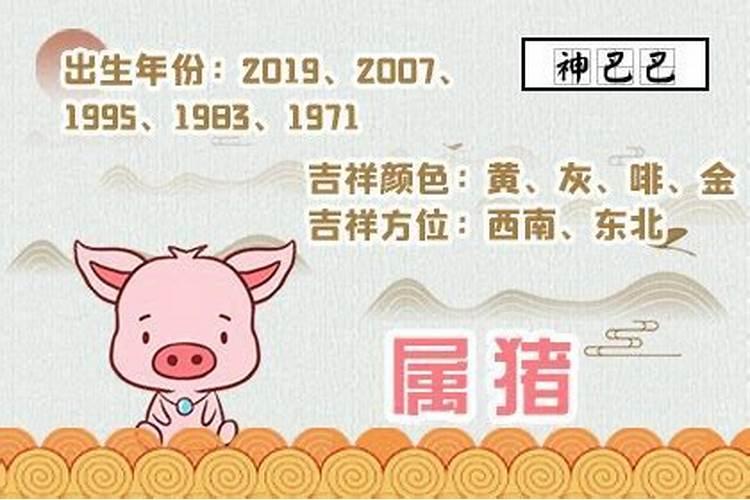 1995年出生2025运势如何？