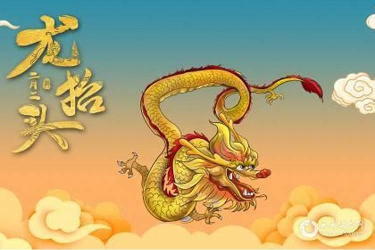 儿子龙抬头出生