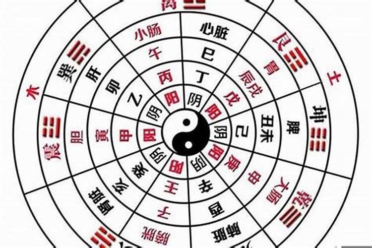 生辰八字怎么判断阴阳？