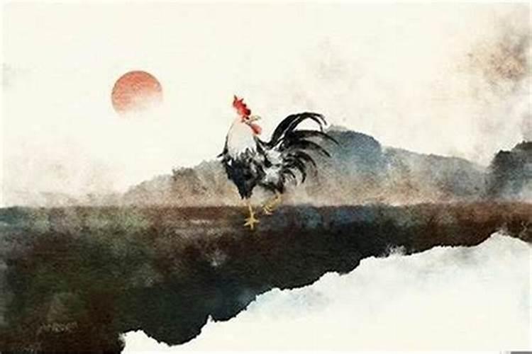 属鸡今年犯太岁怎么解？
